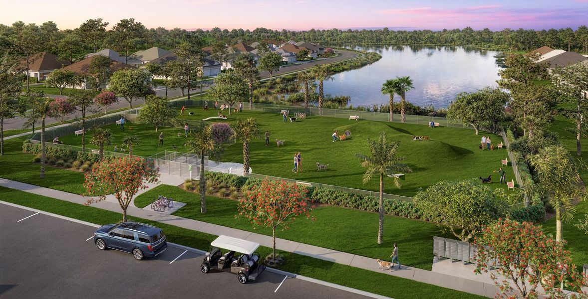 Dog park rendering