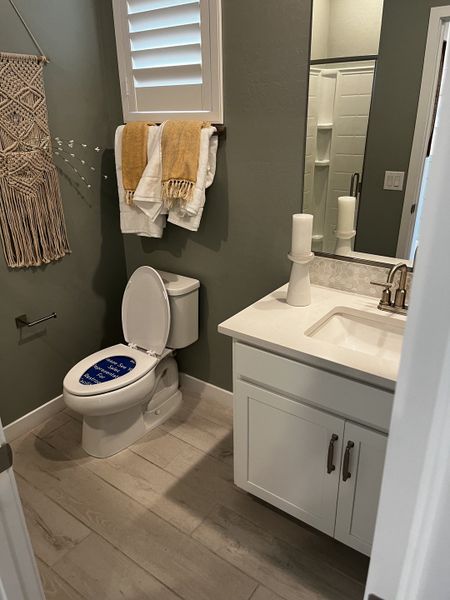 Stylish bathroom with a green accent wall, white vanity, and a shower. Boho decor with macrame and warm tones.