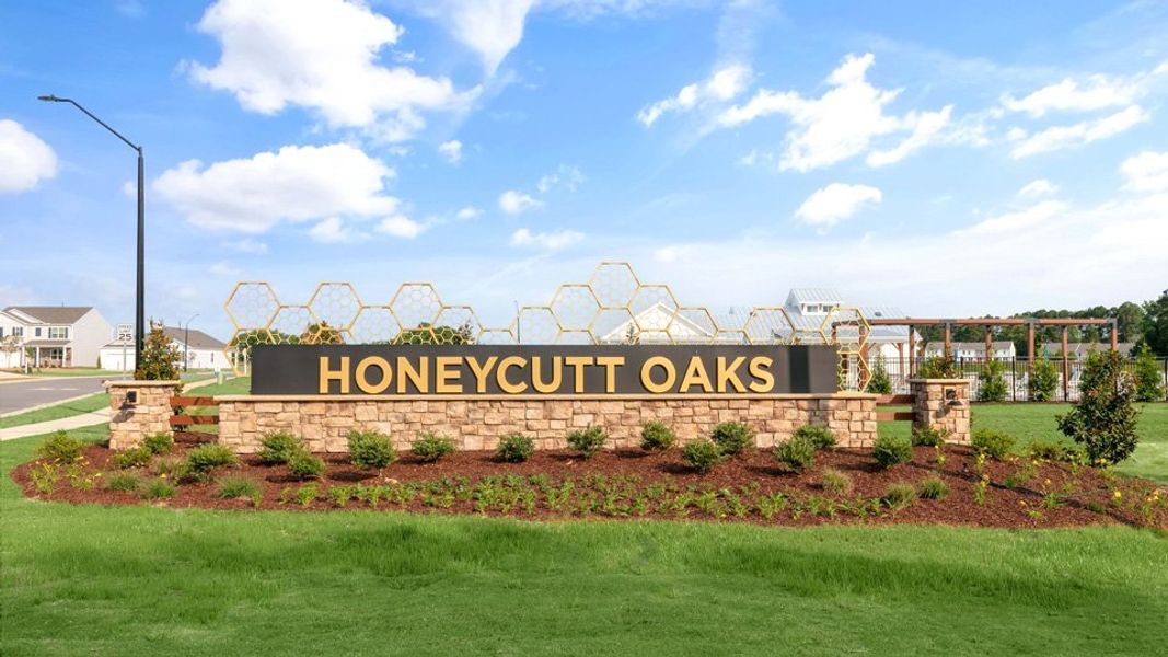 Image 35 of the Honeycutt Oaks community in Angier, NC.