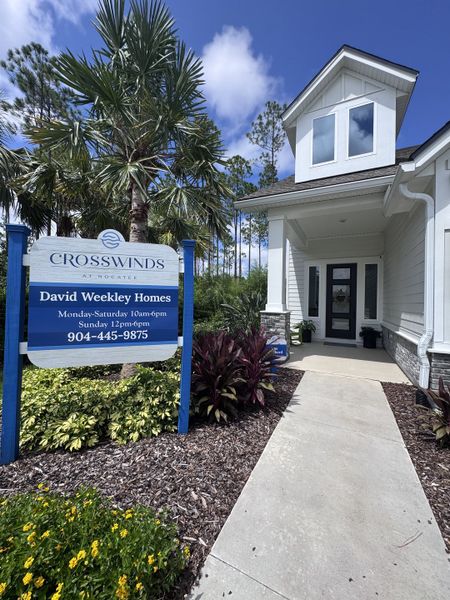 A charming entrance flanked by lush landscaping in Crosswinds 40’ by David Weekley Homes (Ponte Vedra, FL).