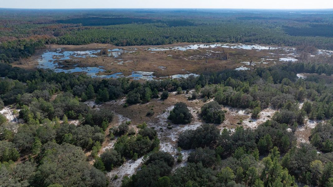 Natural surroundings and green spaces near Soleta at Starkey Ranch – Executive Series in Odessa, FL (Image 6). Natural surroundings and green spaces near Soleta at Starkey Ranch – Executive Series in Odessa, FL (Image 6).