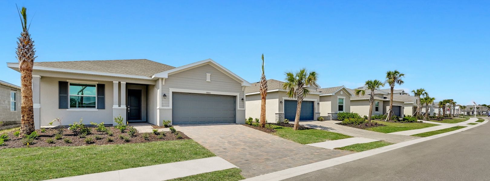 Executive Homes Brightwater Lagoon Streetscape Executive Homes Brightwater Lagoon Streetscape