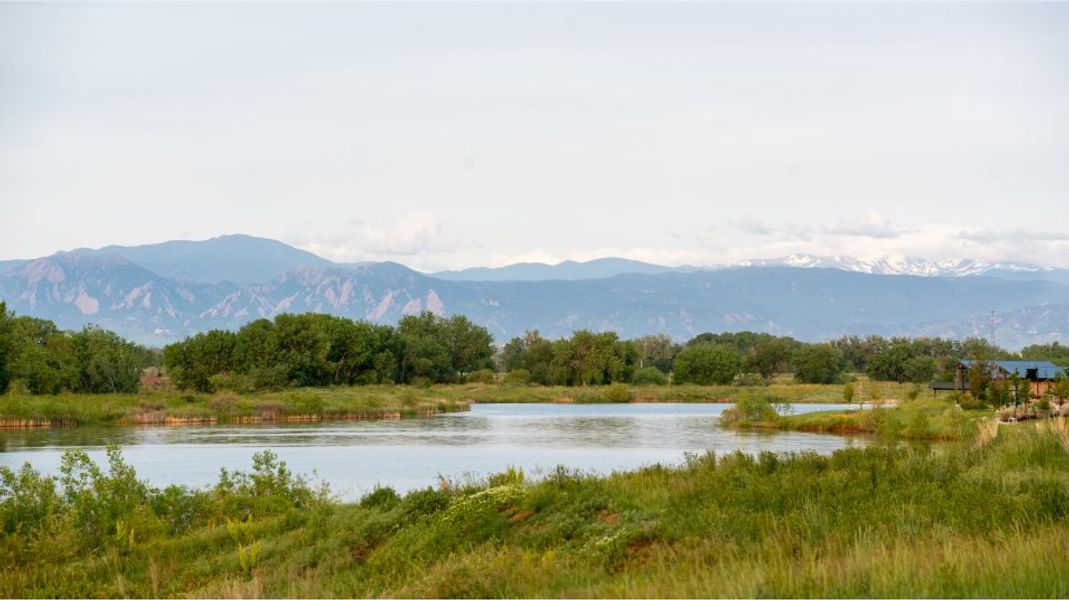Barefoot Lakes lake amenity Barefoot Lakes lake amenity