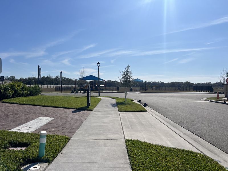 A serene street with lush greenery and blue skies in Laurel Glen by Ryan Homes, Haines City, FL.
