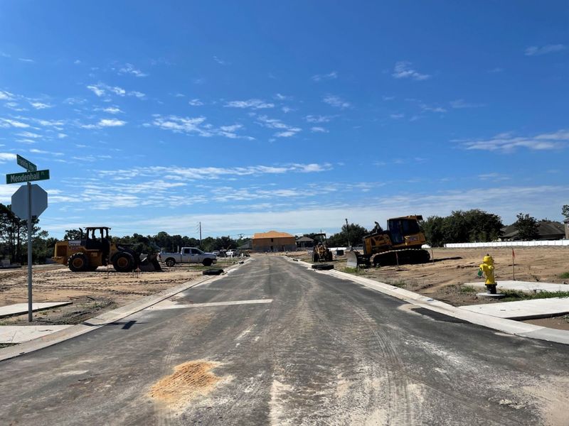 Image 20 of the Bartram's Landing at St. Johns community in Sanford, FL.