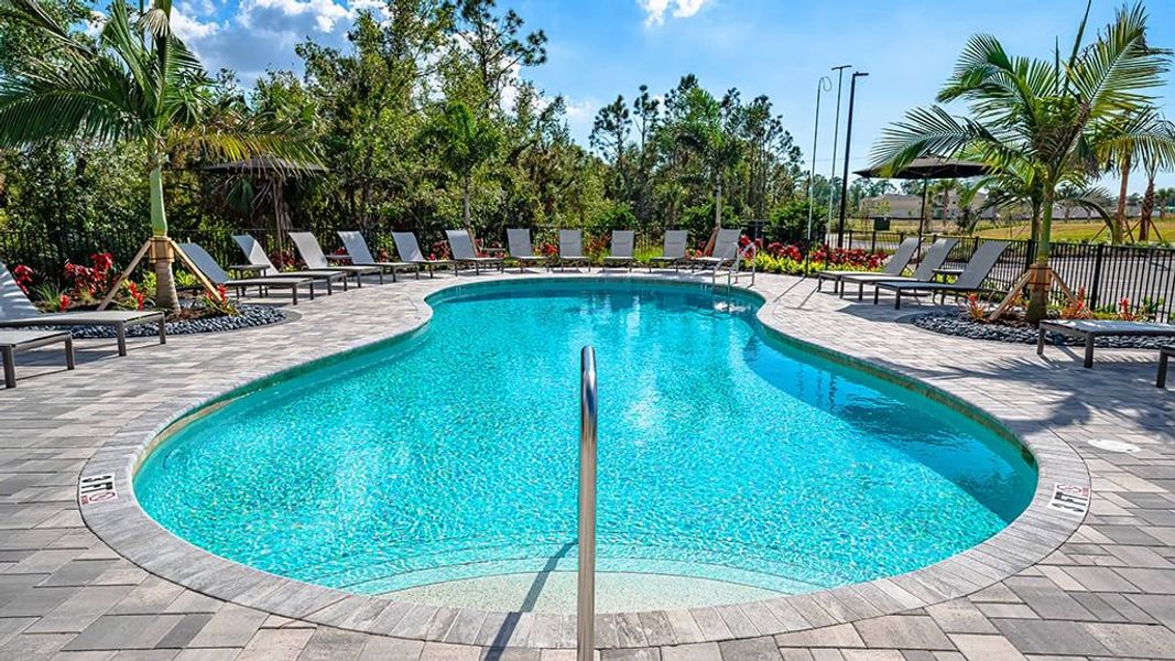 Image 34 of the Tiburon community in Nokomis, FL. Image 34 of the Tiburon community in Nokomis, FL.