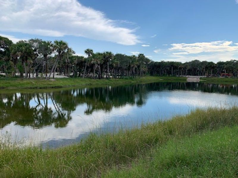 Natural surroundings and green spaces near Seaglass in Vero Beach, FL (Image 98).