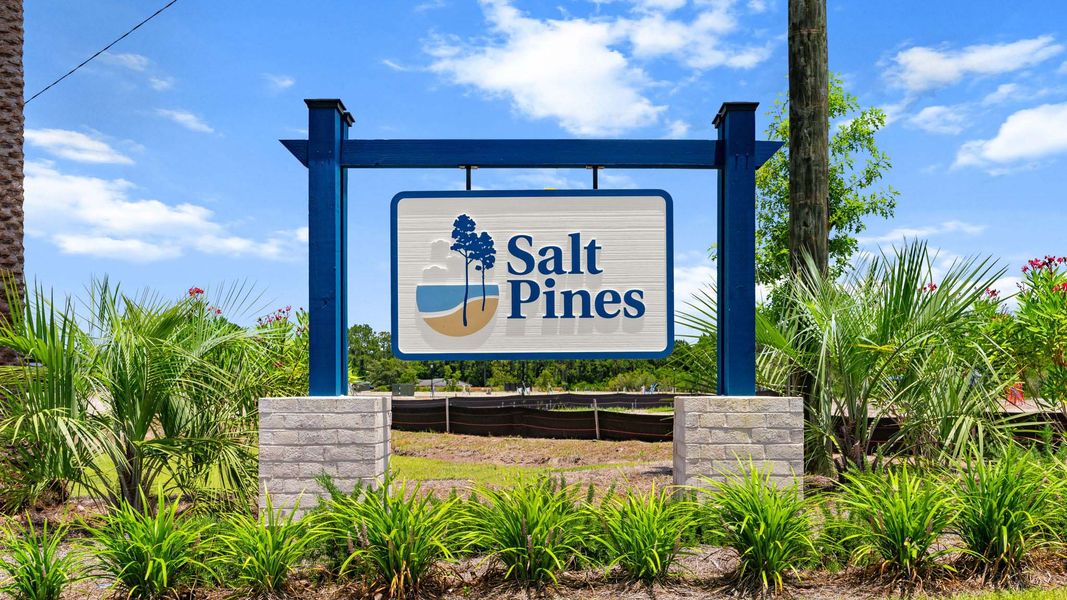 Entrance to the Salt Pines community in Port Saint Joe, FL, featuring signage and landscaping (Image 11). Entrance to the Salt Pines community in Port Saint Joe, FL, featuring signage and landscaping (Image 11).