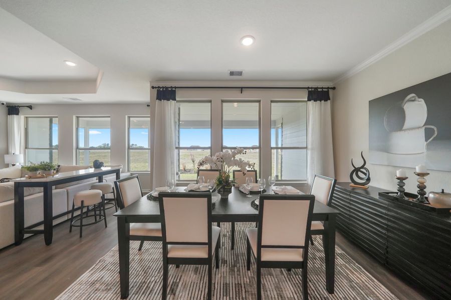 Blue Jays Landing Model Home – Madison – Dining Blue Jays Landing Model Home – Madison – Dining