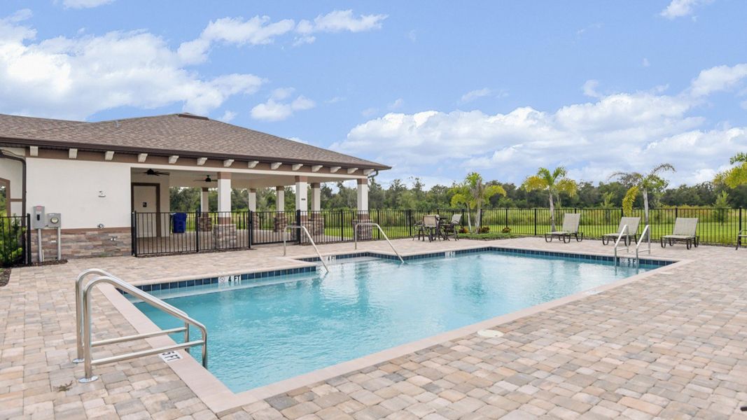 Resort-style swimming pool with sundeck, lounge chairs, and palm trees at Grasslands West in Lakeland, FL.