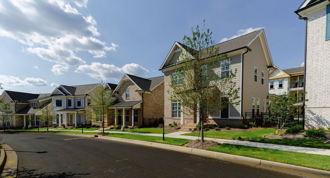 Waterside Single Family Streetscape