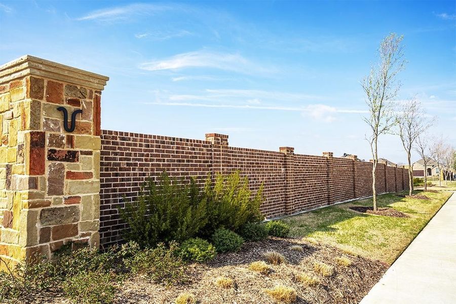 Image 8 of the The Homestead at Ownsby Farms community in Celina, TX.