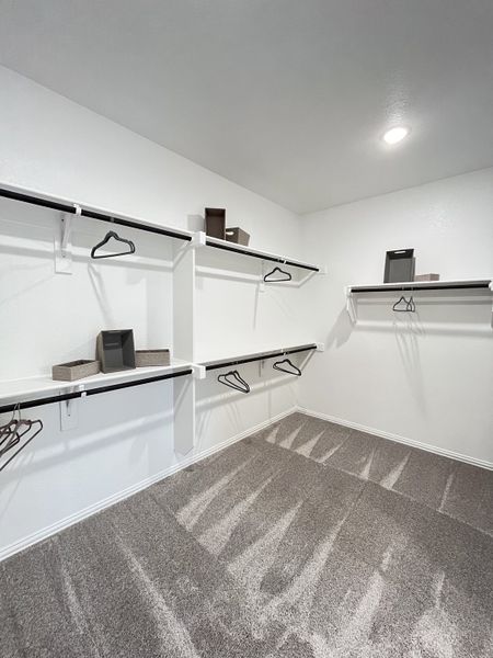 A spacious walk-in closet with plush carpet, bright lighting, and multiple shelves for organized storage.