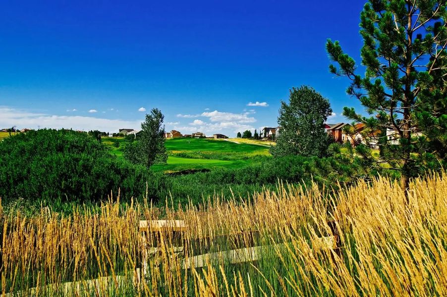 Shared community amenity within Meridian Ranch in Peyton, CO (Image 15).