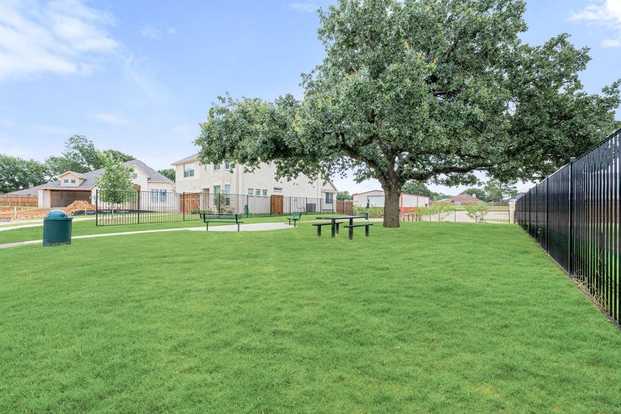 Community green space with large shade tree, picnic table, and black iron fence Community green space with large shade tree, picnic table, and black iron fence