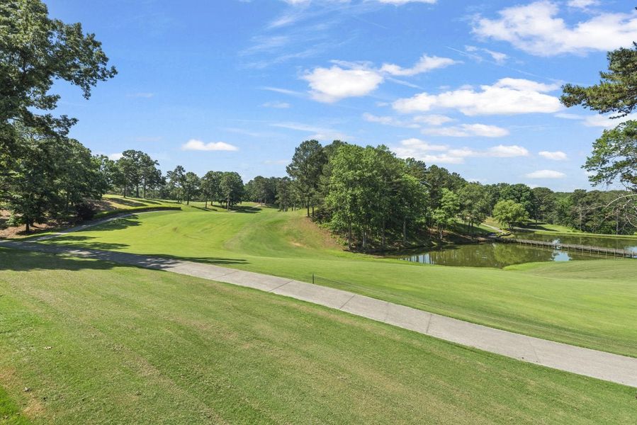 Natural surroundings and green spaces near Cherry Glen in Euharlee, GA (Image 52).