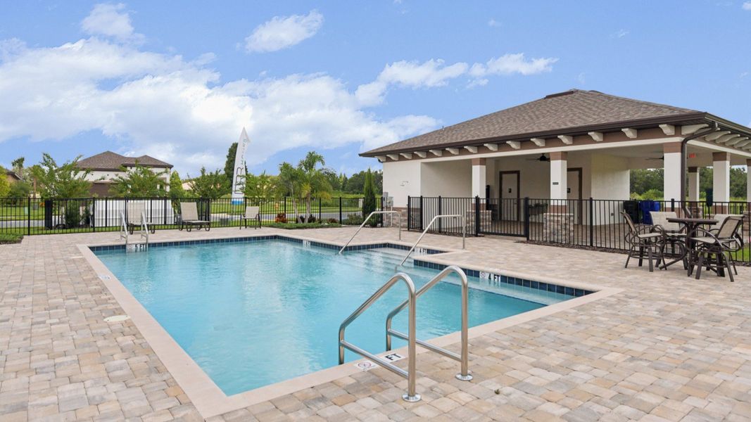 Resort-style swimming pool with sundeck, lounge chairs, and palm trees at Grasslands West in Lakeland, FL.
