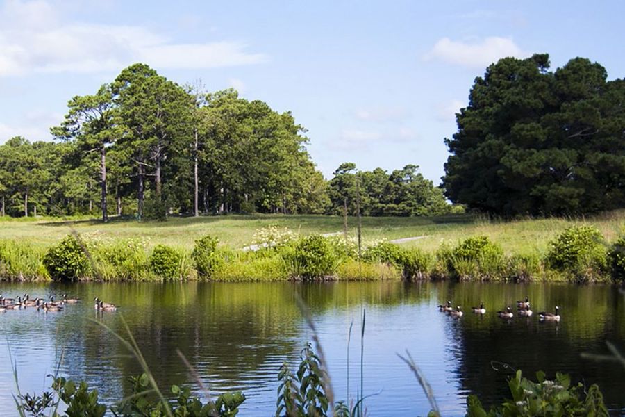 Natural surroundings and green spaces near WyndWater in Hampstead, NC (Image 43).
