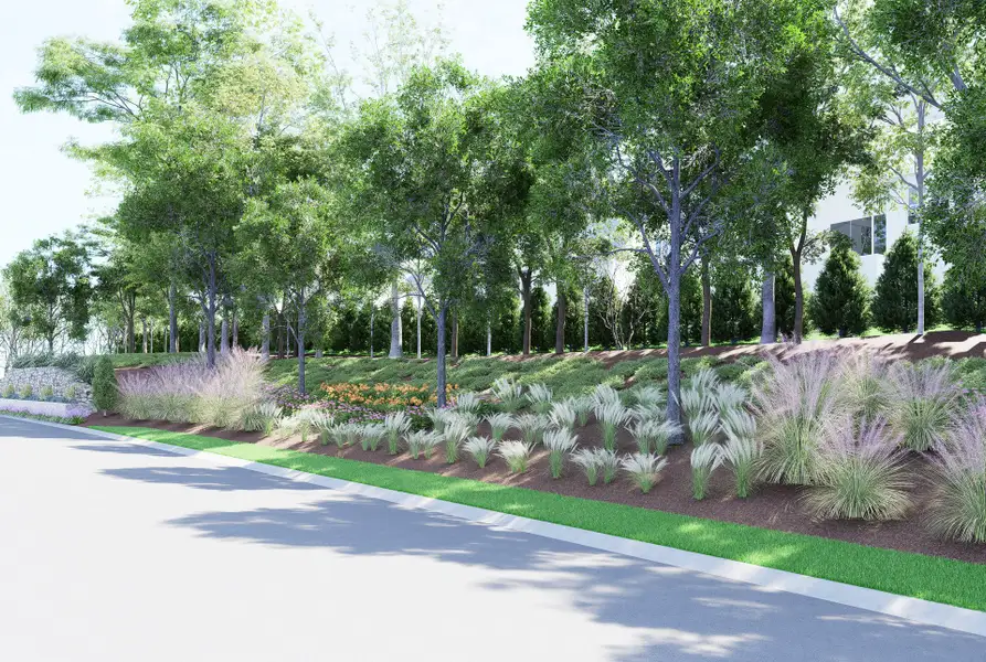 Natural surroundings and green spaces near Enclave at Carrington in Charlotte, NC (Image 4).