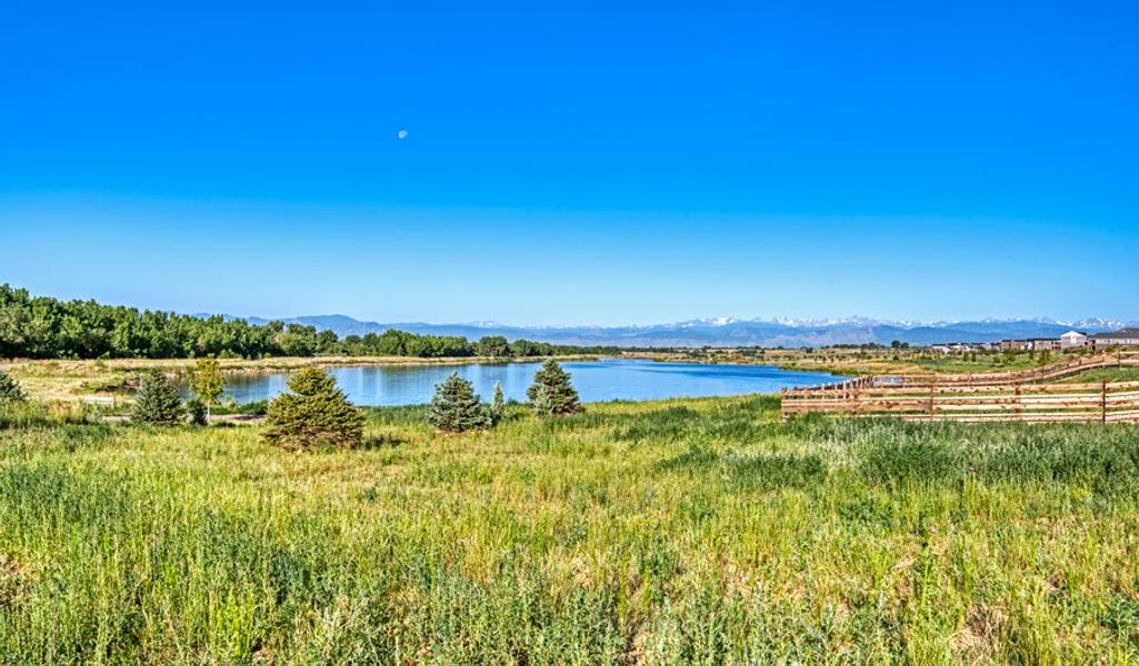 Community amenity available to residents of The Duos at Barefoot Village in Firestone (Image 14). Community amenity available to residents of The Duos at Barefoot Village in Firestone (Image 14).