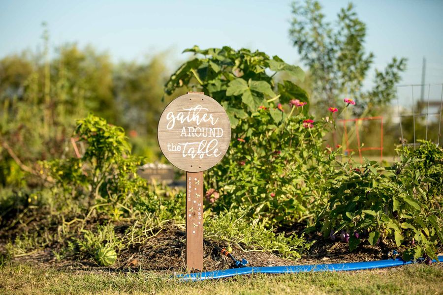 Image 45 of the The Estates at James Lane community in Fulshear, TX. Image 45 of the The Estates at James Lane community in Fulshear, TX.