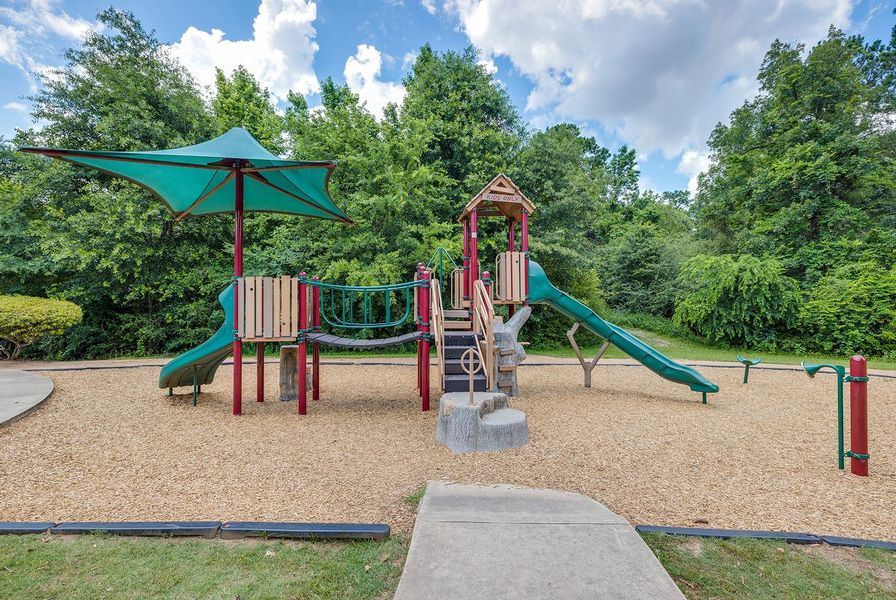 Cut And Shoot Conroe John Burge Park 4of7 032526