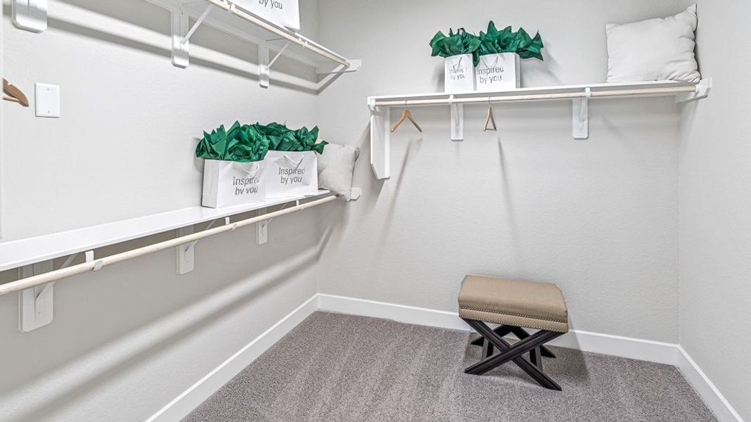 Image 28 of the Elyson 60s community in Katy, TX.