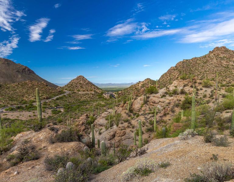 Image 38 of the Cantabria at Rincon Knolls community in Vail, AZ.