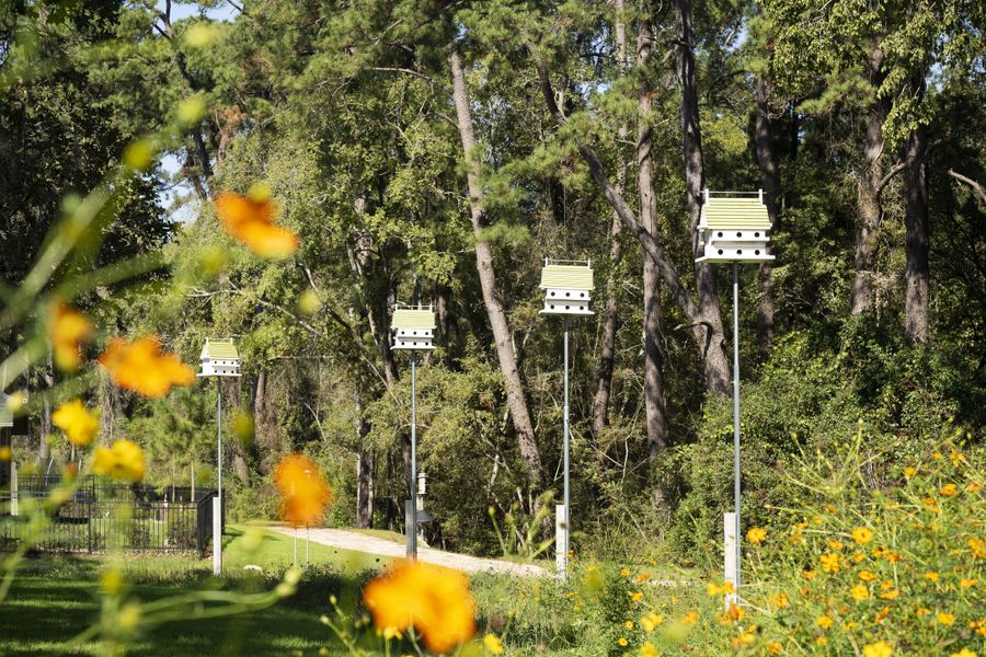 Community amenity available to residents of Audubon in Magnolia (Image 9).