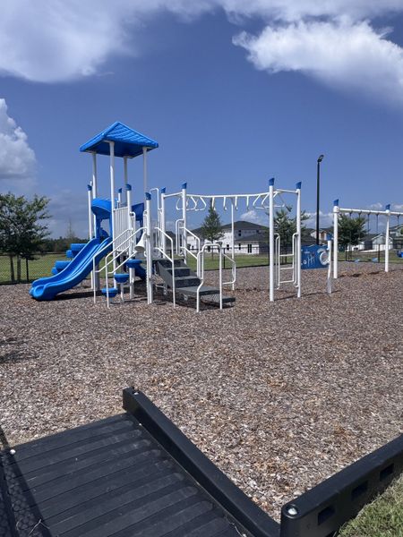 A vibrant playground with blue slides and climbing structures in Holstein Crossing: Holstein Crossing 50s by Lennar (Green Cove Springs, FL).