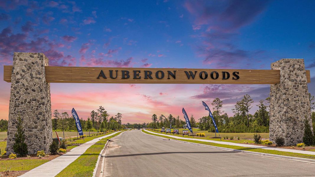 Image 19 of the Auberon Woods community in Conway, SC.