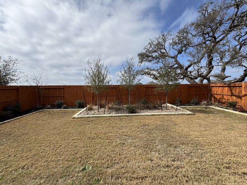 A tranquil fenced backyard with tidy landscaping in Meyer Ranch by Brightland Homes (New Braunfels, TX). A tranquil fenced backyard with tidy landscaping in Meyer Ranch by Brightland Homes (New Braunfels, TX).