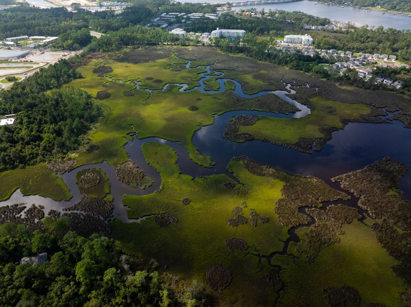 Image 19 of the Egret Creek community in Jacksonville, FL.