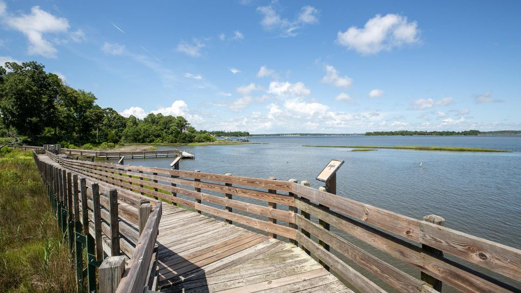 Natural surroundings and green spaces near Merchant Point in Jacksonville, NC (Image 27).