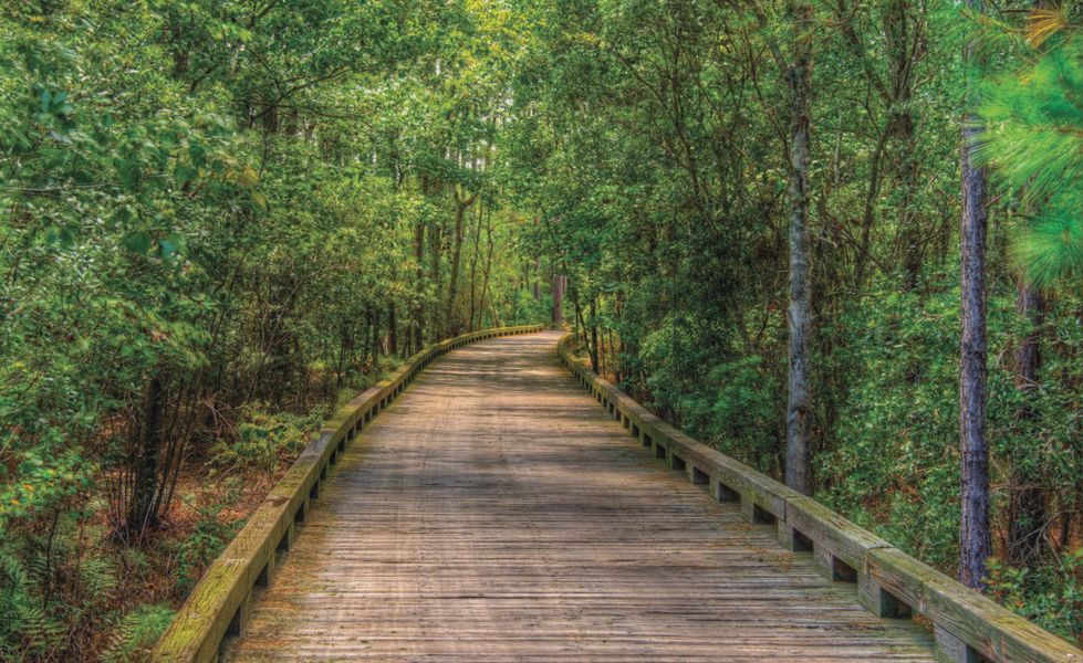 Natural surroundings and green spaces near Amelia National in Fernandina Beach, FL (Image 31).
