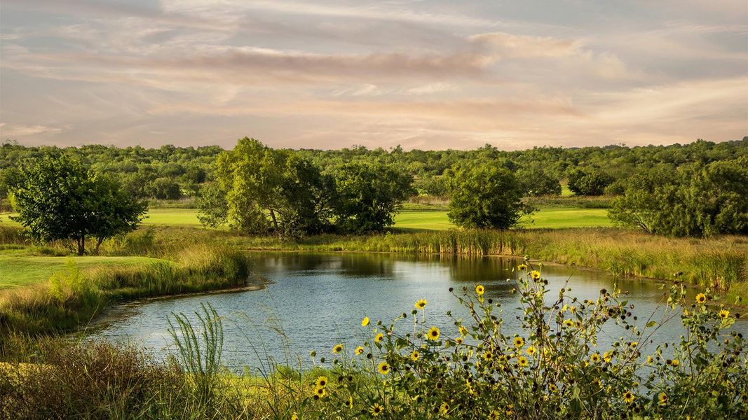 Natural surroundings and green spaces near Briggs Ranch in San Antonio, TX (Image 41).