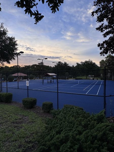 Charming tennis courts with lush greenery at Shadow Crest at Rolling Hills by Adams Homes in Green Cove Springs, FL.