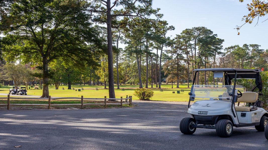Image 17 of the Harper Meadows community in Loris, SC. Image 17 of the Harper Meadows community in Loris, SC.