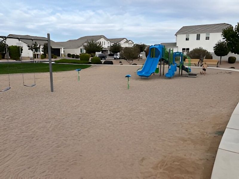 A welcoming playground with slides and swings in Pecan Cove by Newport Homes, San Tan Valley, AZ. A welcoming playground with slides and swings in Pecan Cove by Newport Homes, San Tan Valley, AZ.