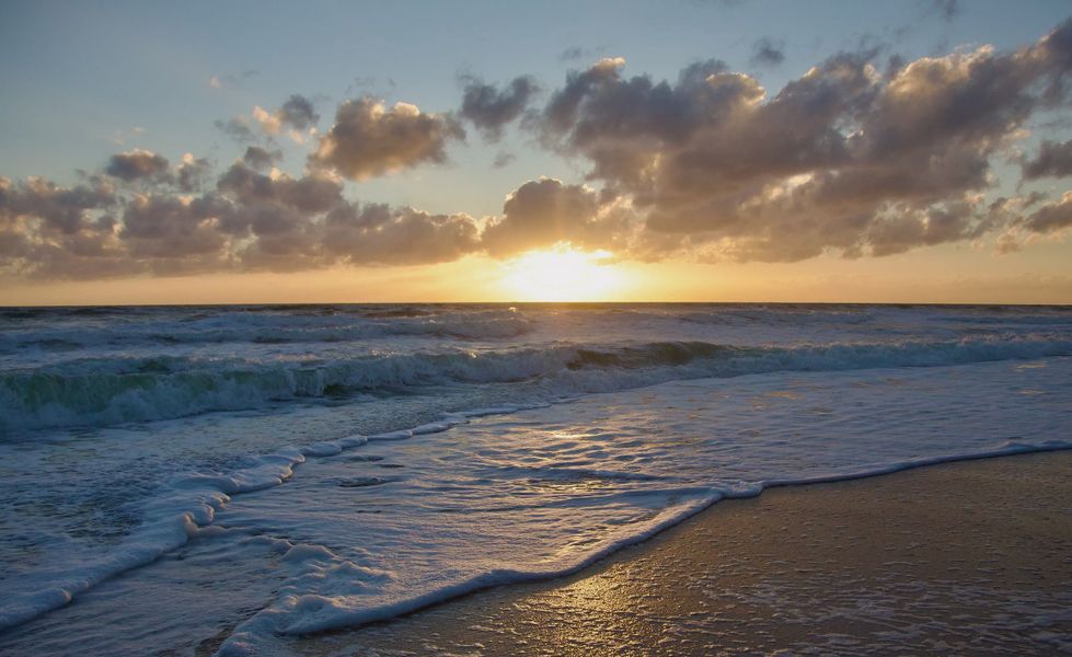 Natural surroundings and green spaces near Oasis at Hammock Dunes in Palm Coast, FL (Image 25).