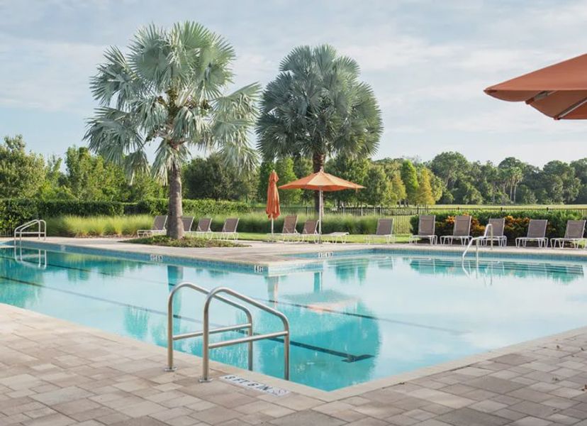 Community amenity available to residents of Waterset in Apollo Beach (Image 35). Community amenity available to residents of Waterset in Apollo Beach (Image 35).
