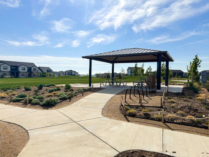 Community amenity available to residents of The Lakes at Centerra in Loveland (Image 4).