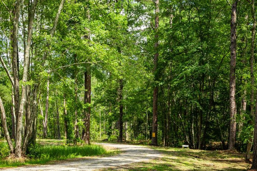 Get out and enjoy nature at many close by greenways.