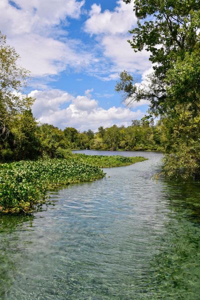 Enjoy nature & recreation with some of Florida's most acclaimed Springs right down the road