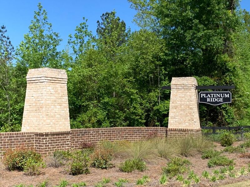 Platinum Ridge,30277