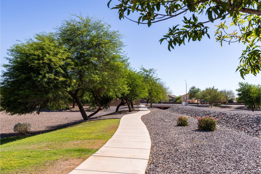 Natural surroundings and green spaces near McCartney Center in Casa Grande, AZ (Image 11).