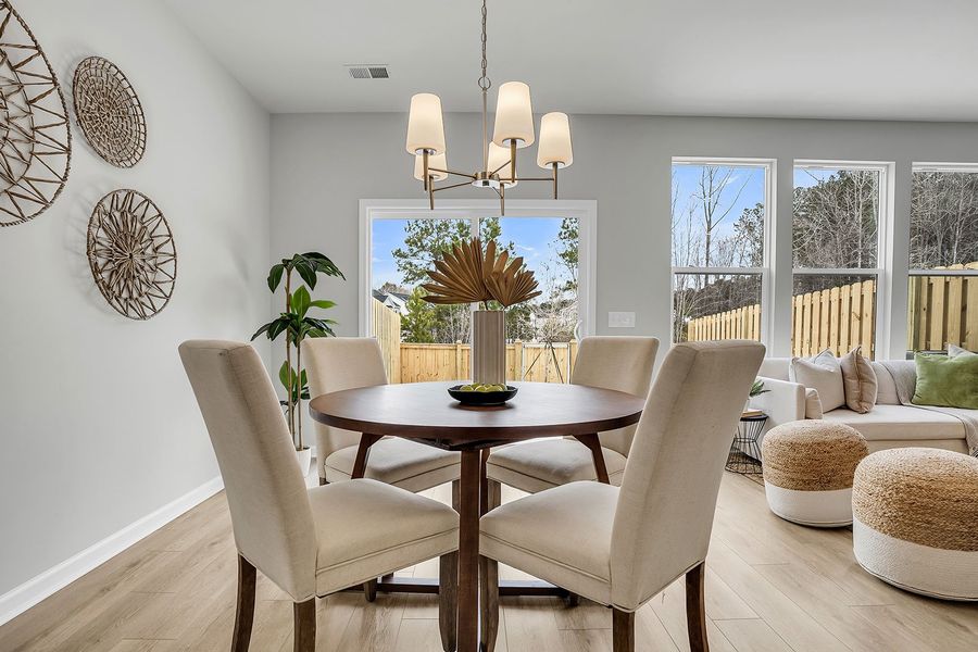 Mandevilla | Eat-in Mandevilla | Eat-in