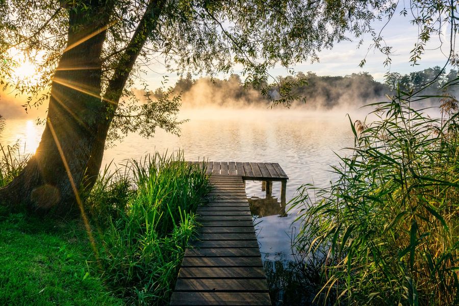 Bringing Together Modern Design and Natural Beauty Bringing Together Modern Design and Natural Beauty