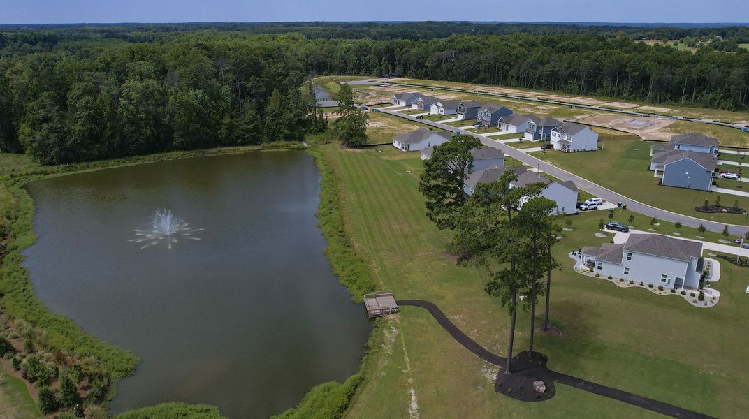 Image 48 of the Sease's Pond community in Gilbert, SC.
