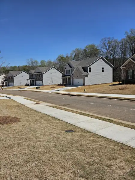 A picturesque neighborhood in Hellen Valley by McKinley Homes, featuring modern homes on a serene street in Braselton, GA.